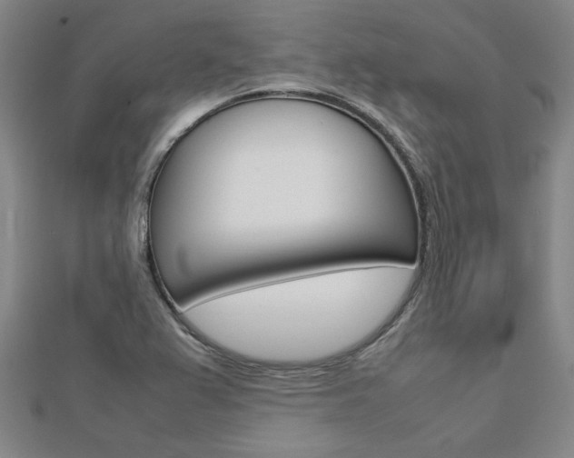 X0000112731367200908201004