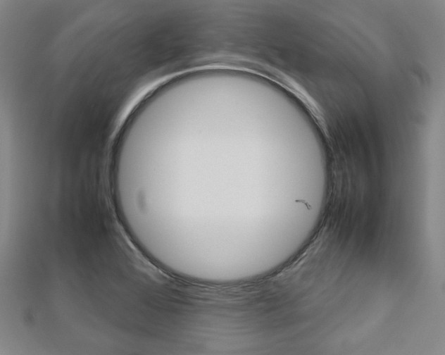 X0000112731368200908201004