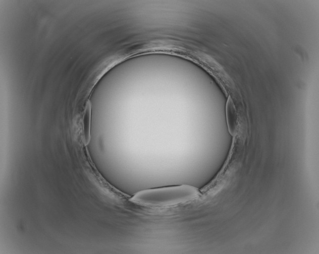 X0000112731369200908201004