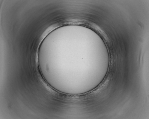 X0000112731370200908201004