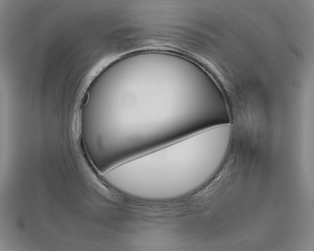 X0000112731371200908201004