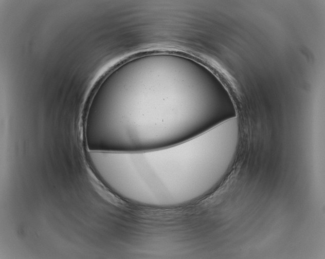 X0000112731372200908201004