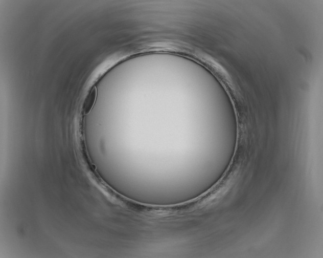 X0000112731373200908201004