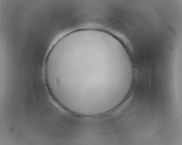 X0000112731374200908201004