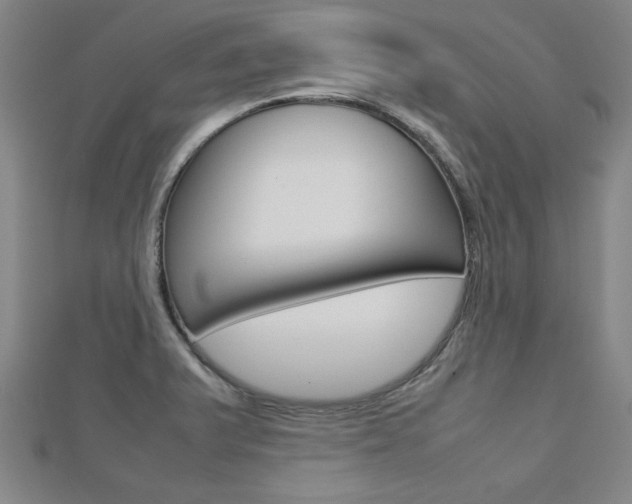 X0000112731375200908201004