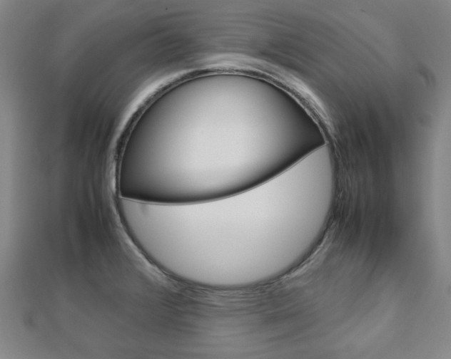 X0000112731376200908201004