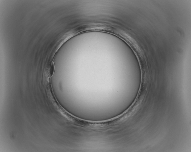 X0000112731377200908201004
