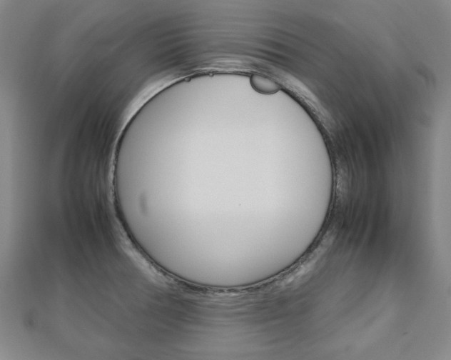 X0000112731378200908201004