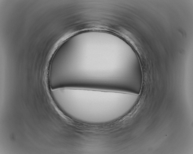 X0000112731379200908201004