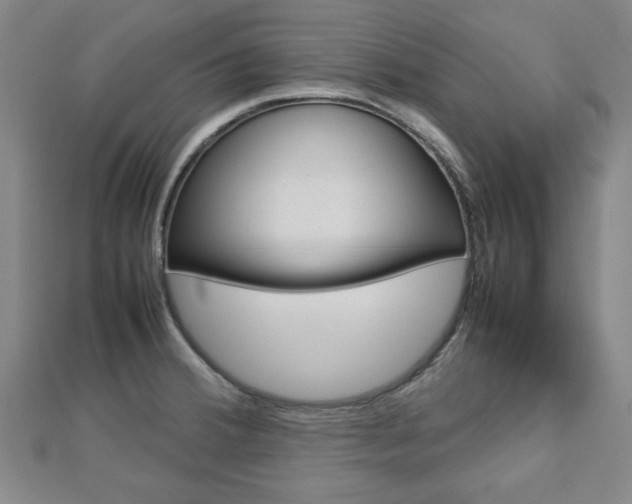 X0000112731380200908201003