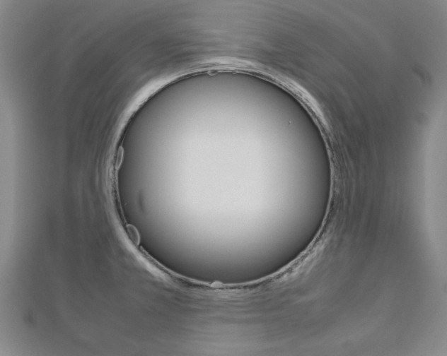 X0000112731381200908201003