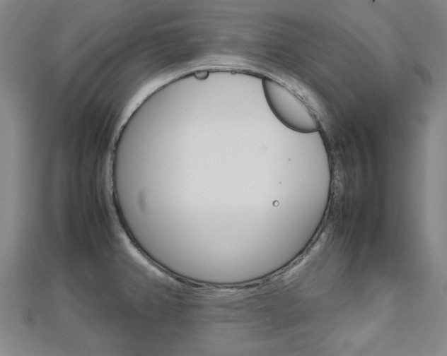 X0000112731382200908201003