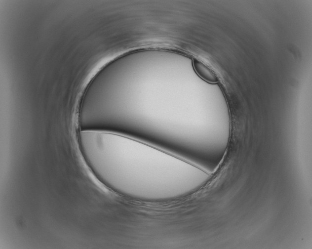 X0000112731383200908201003