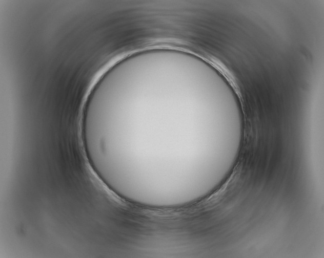 X0000112731384200908201003
