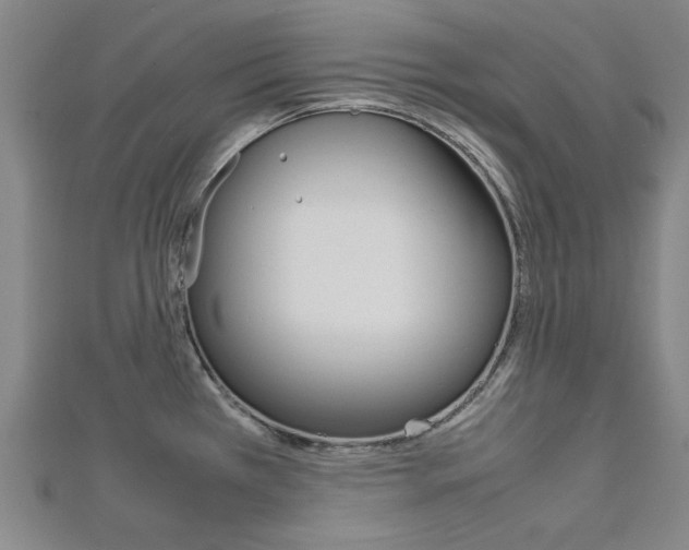 X0000112731385200908201003