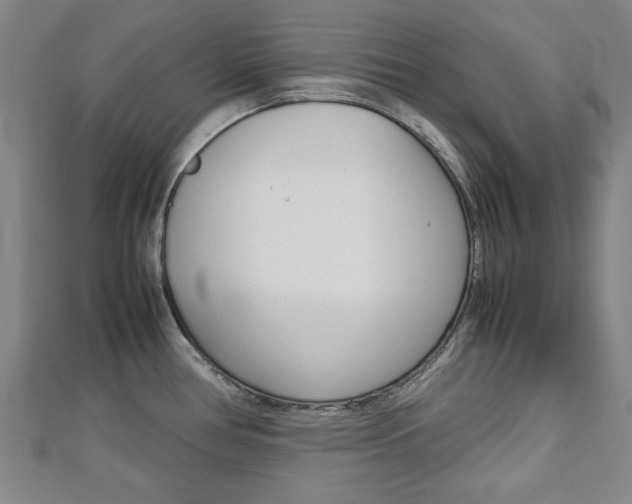 X0000112731386200908201003