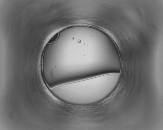 X0000112731387200908201003
