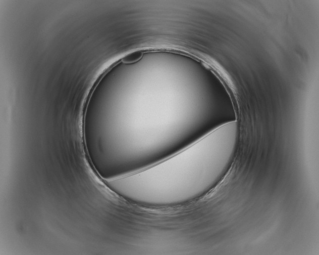 X0000112731388200908201003