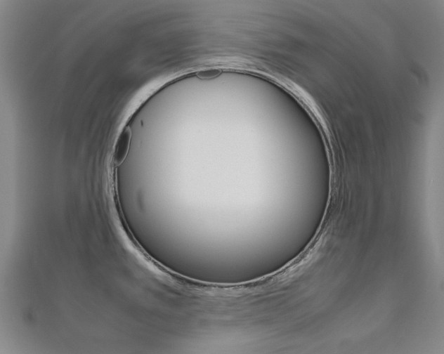 X0000112731389200908201003