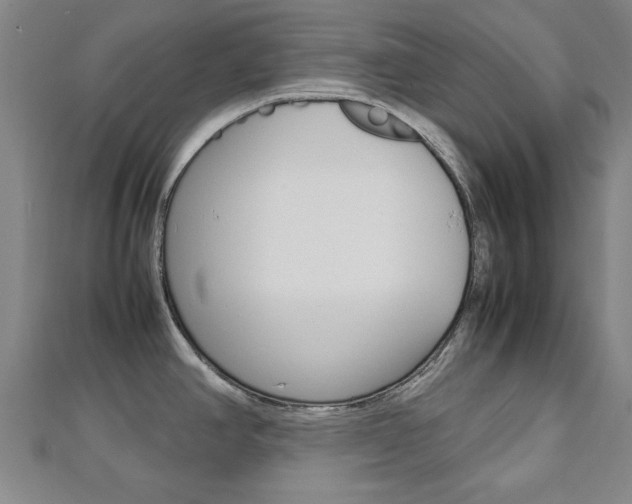 X0000112731390200908201003