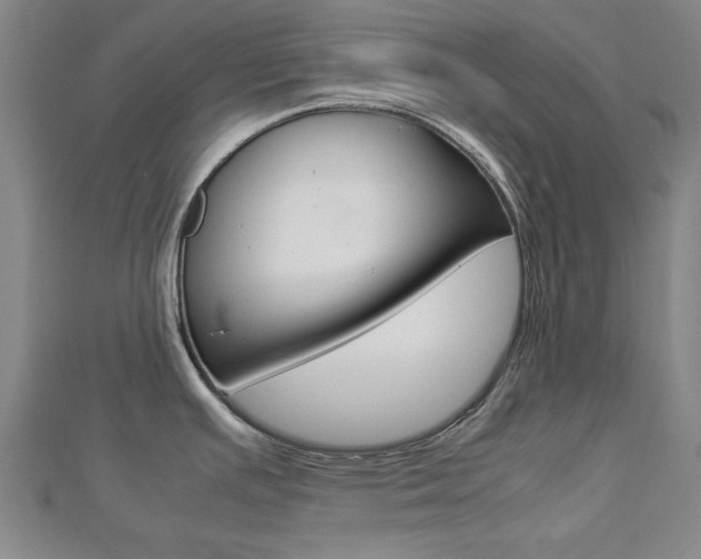 X0000112731391200908201003