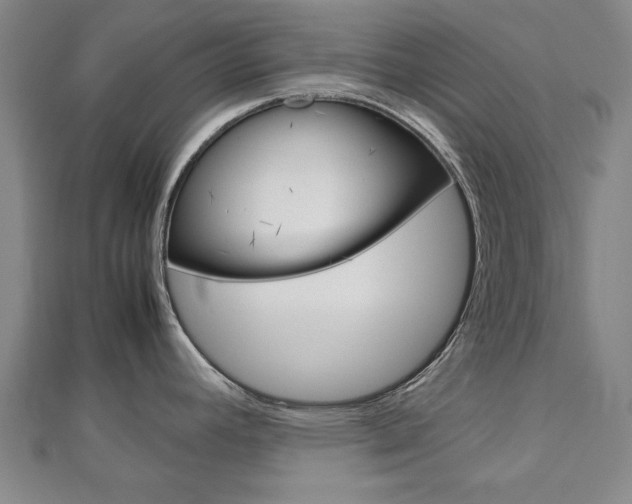 X0000112731392200908201003