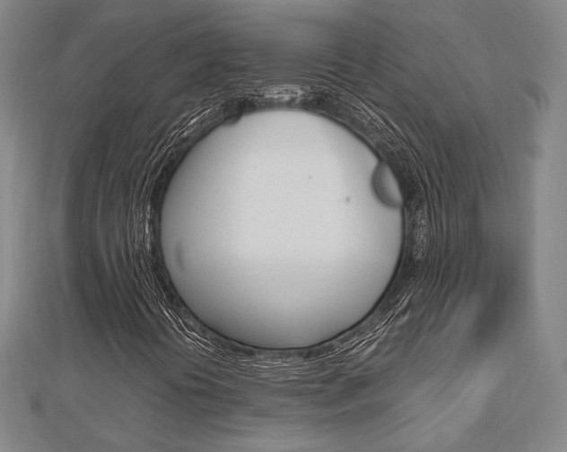 X0000112731394200908201003