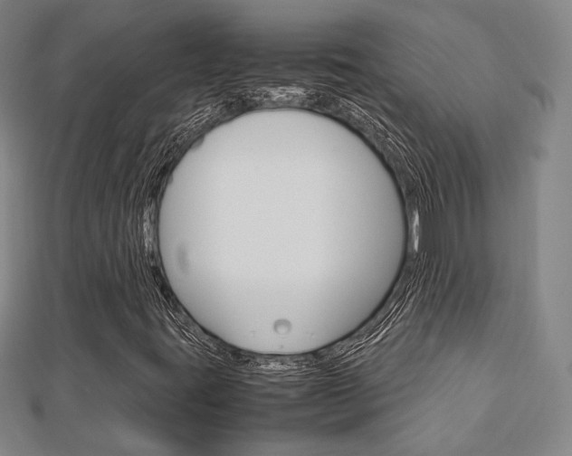 X0000112731395200908201003