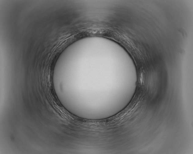 X0000112731396200908201003