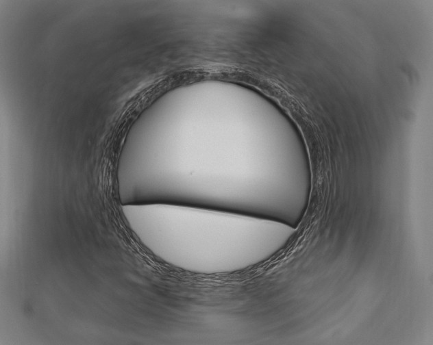 X0000112731398200908201003