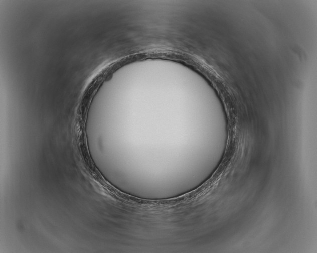 X0000112731400200908201003
