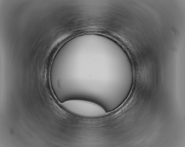 X0000112731402200908201003