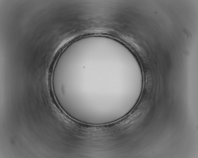 X0000112731404200908201003
