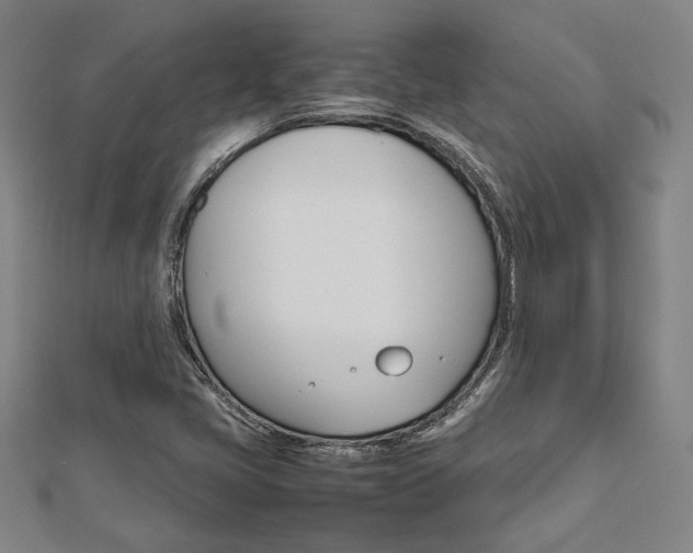 X0000112731405200908201003