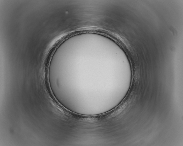 X0000112731406200908201003
