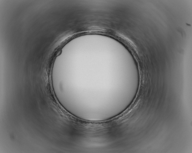 X0000112731407200908201003
