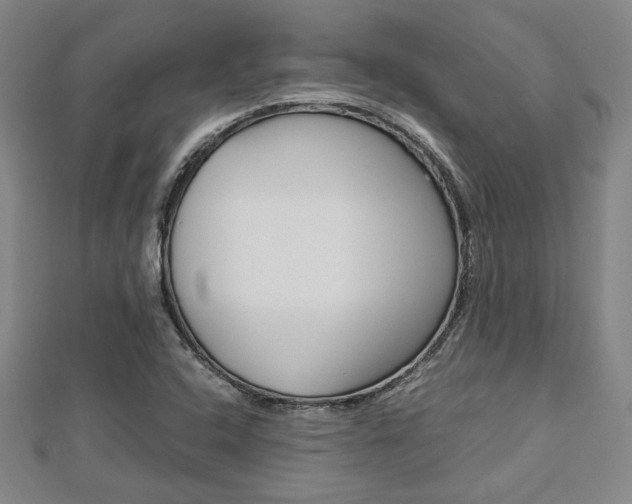 X0000112731408200908201003