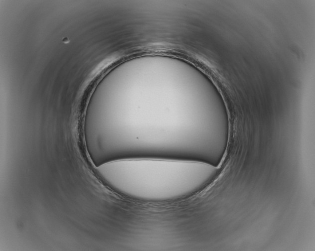 X0000112731410200908201003