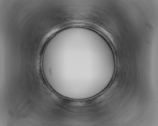 X0000112731411200908201003