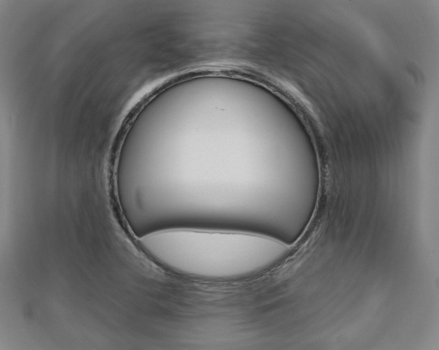 X0000112731412200908201003