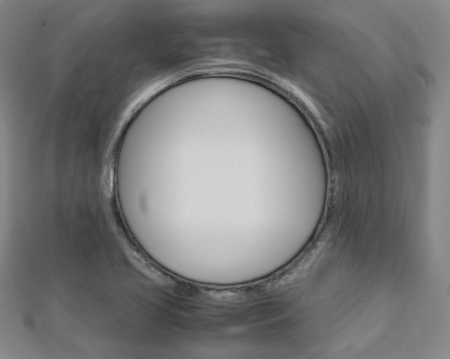 X0000112731413200908201003