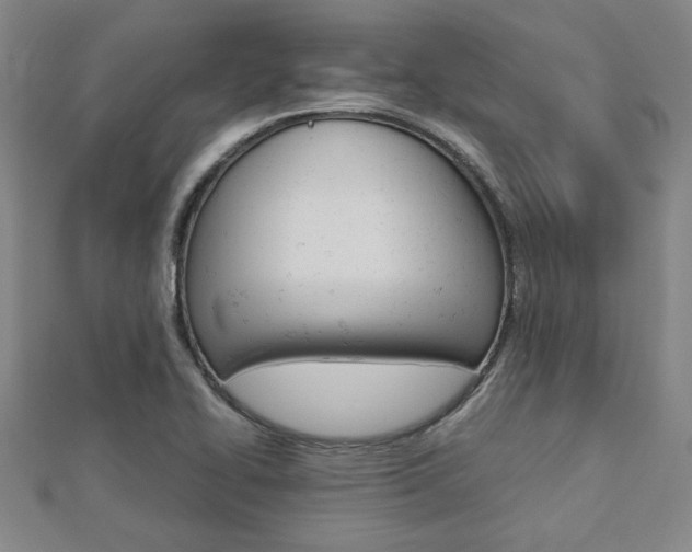 X0000112731414200908201003