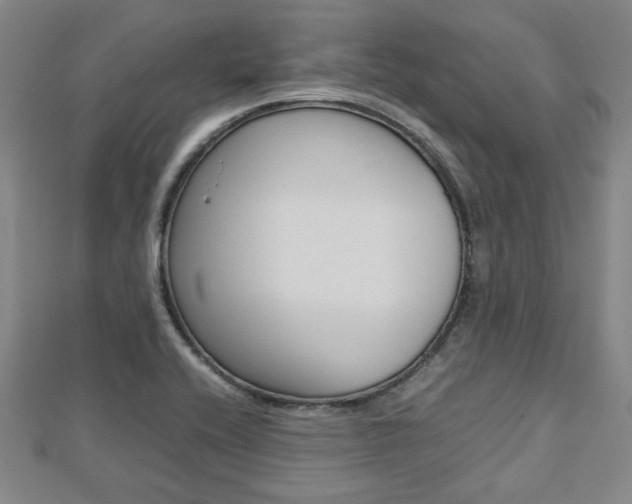 X0000112731416200908201003