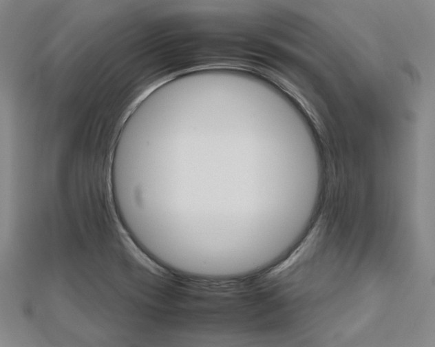 X0000112731417200908201003