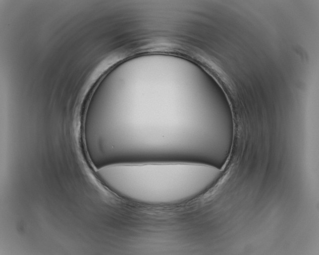 X0000112731418200908201003