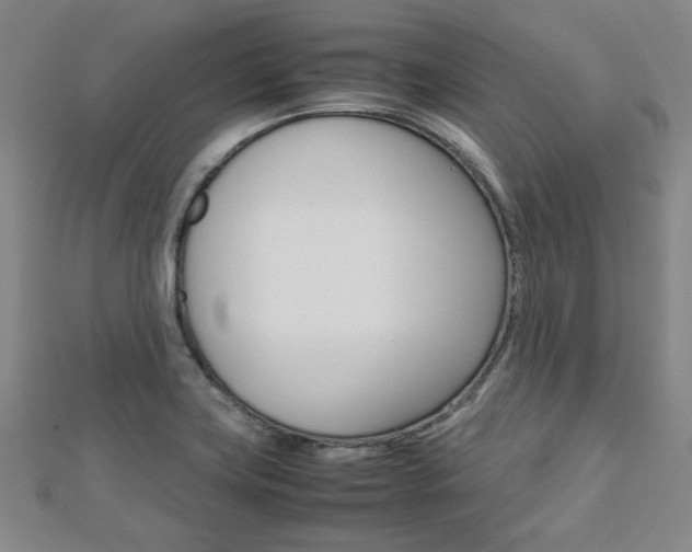 X0000112731419200908201003