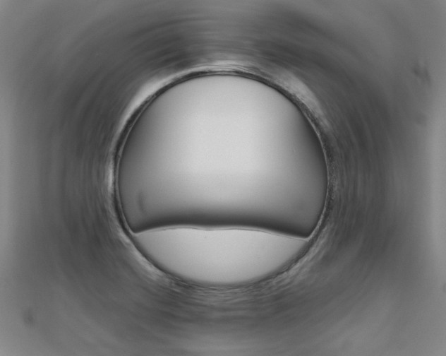 X0000112731420200908201003