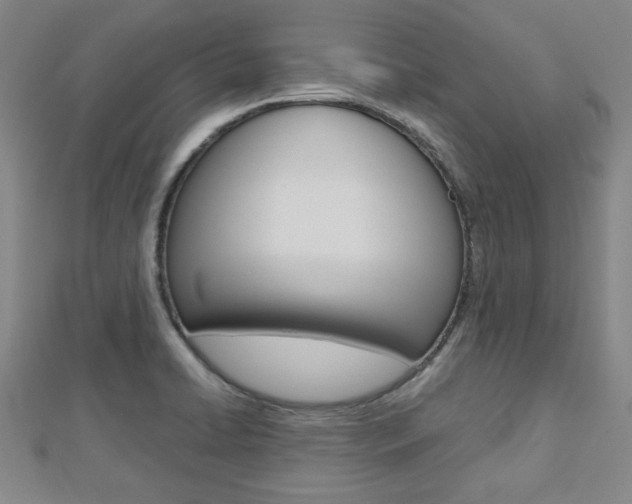 X0000112731422200908201003