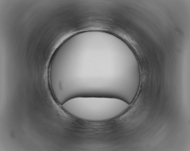 X0000112731423200908201003
