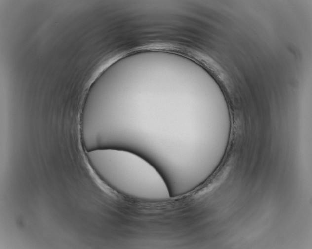 X0000112731425200908201003